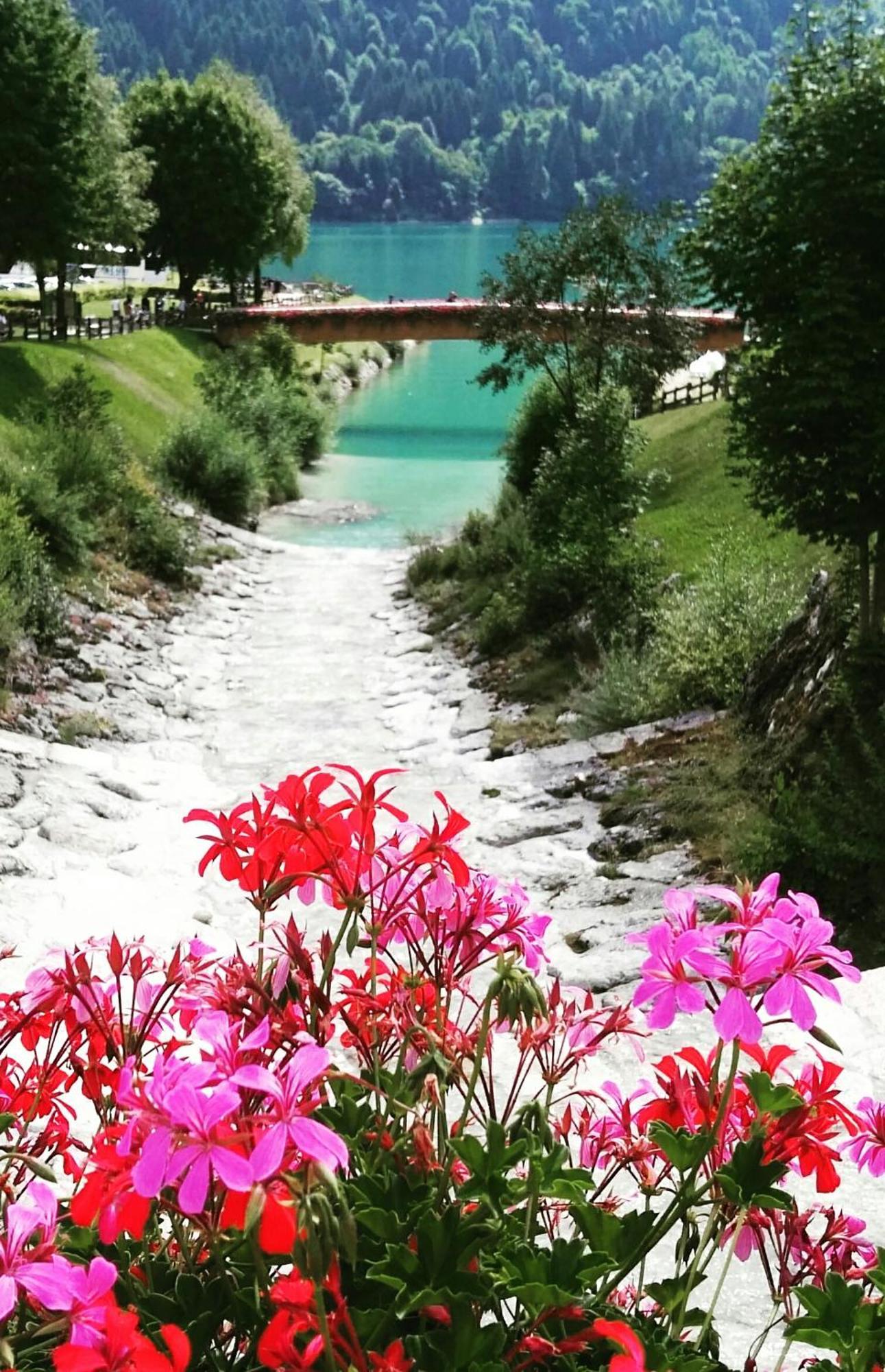 Villa Aprica Appartamenti مولفينو المظهر الخارجي الصورة